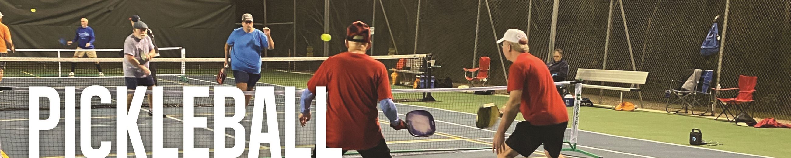Pickleball Webpage Graphic-02