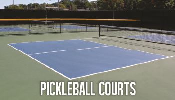 Pickleball Court Button Graphic