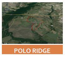 Polo Ridge TIRZ Tile