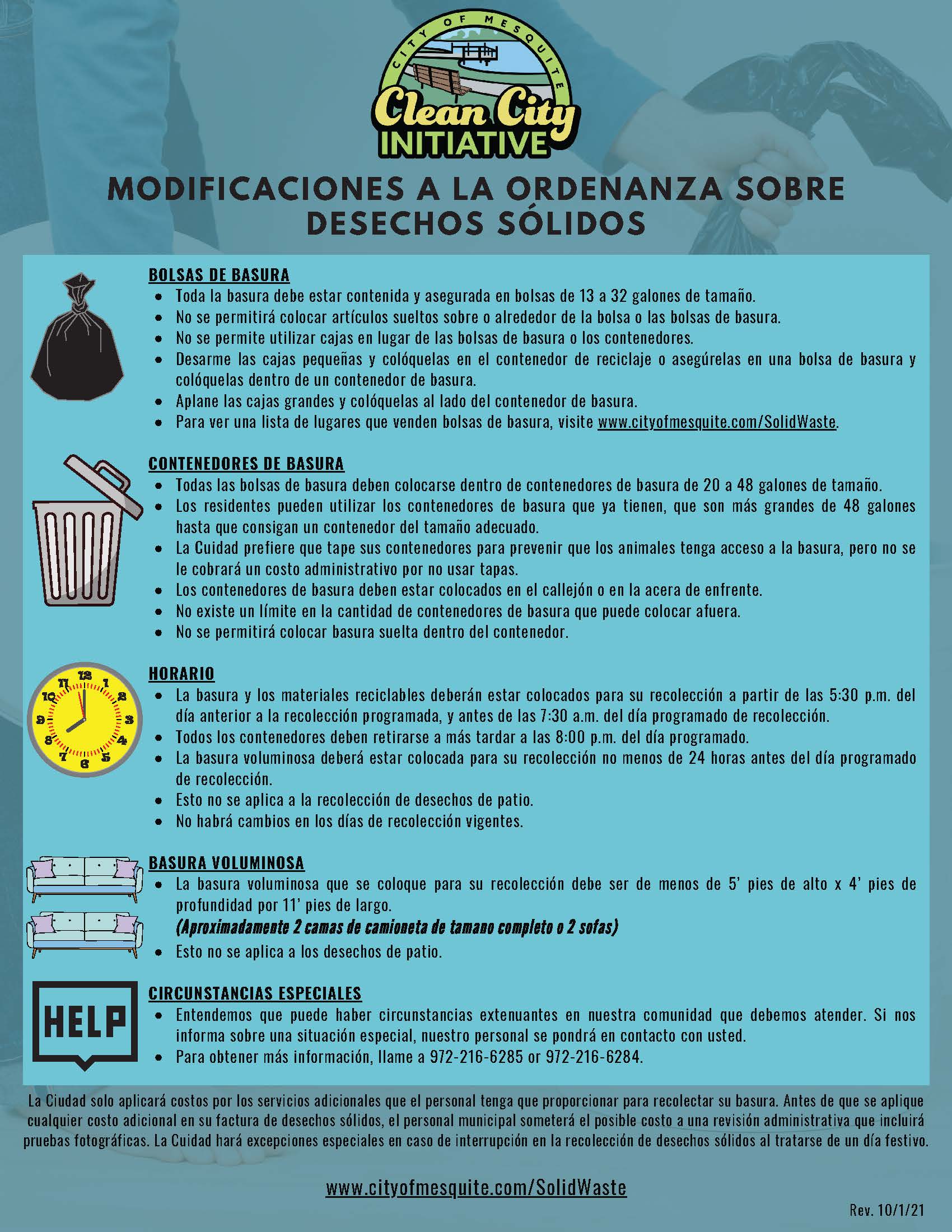 Spanish Bullet Point Flyer