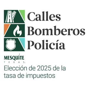 Elección de 2025 de la tasa de impuestos