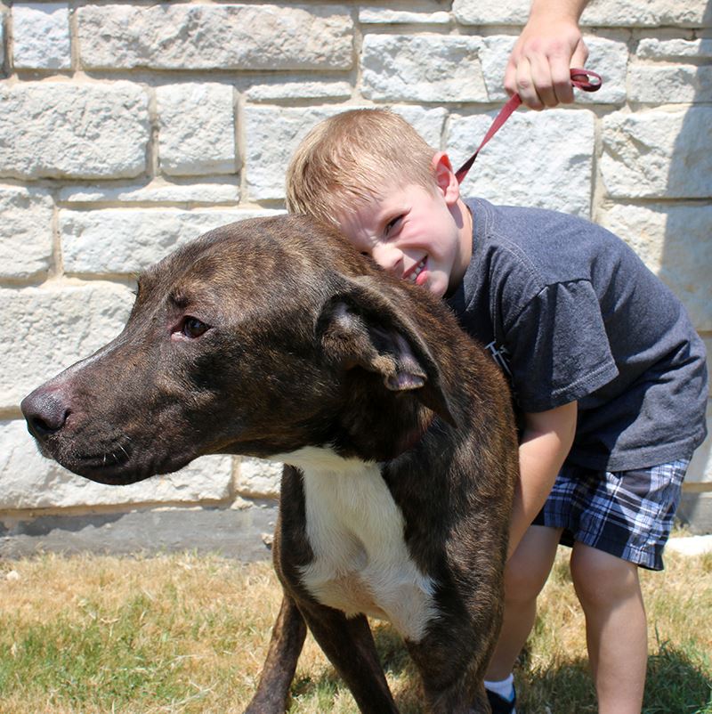 Clear the Shelters - Mesquite TX - boy adopts his first dog
