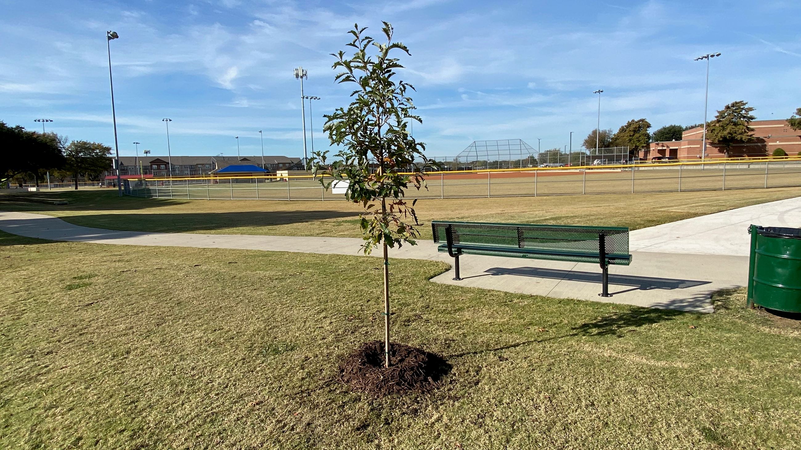 sappling planted by Vanston Middle School for Arbor Day