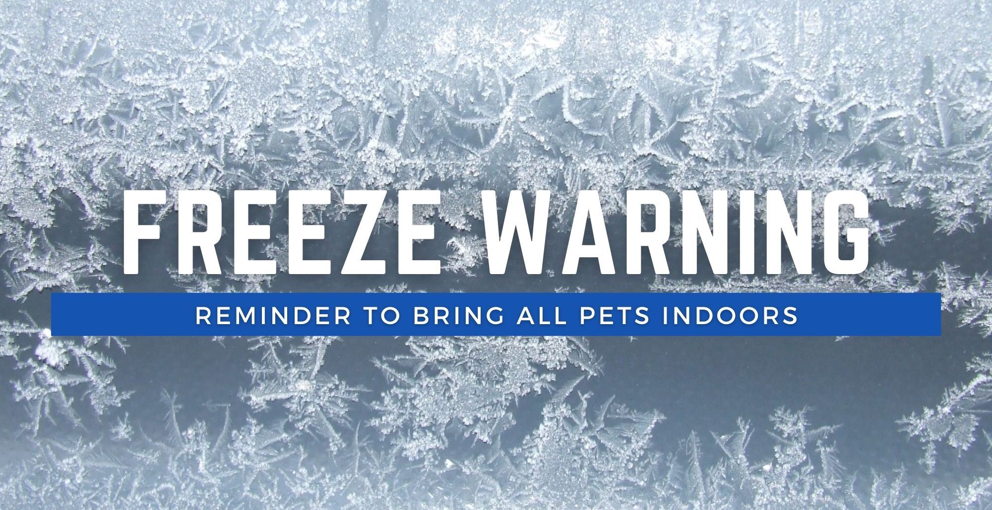 Freeze Warning Webslide