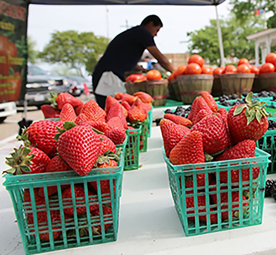 Downtown Mesquite Farmers Market - Mesquite TX