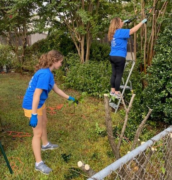 volunteers trim trees