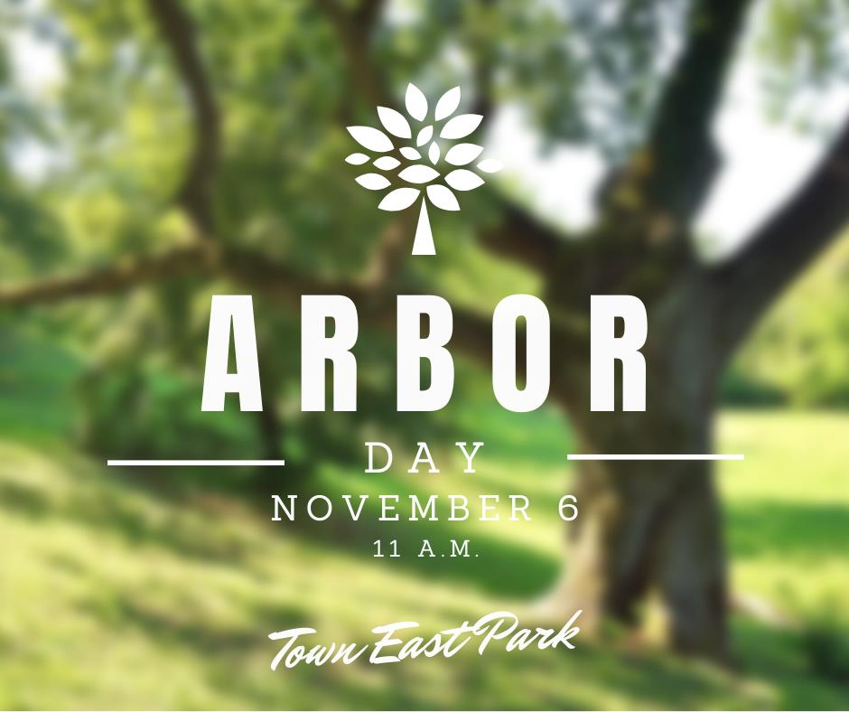 246180950_249450547222657_4955866861001134377_n