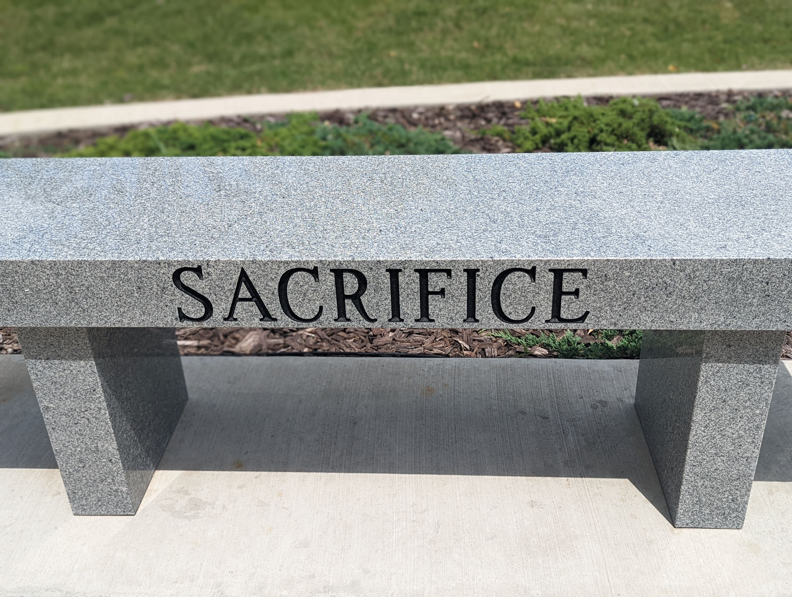 PXL_20220530_194826718.PORTRAIT