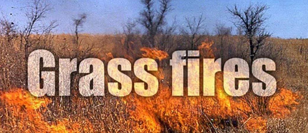 Grass Fire