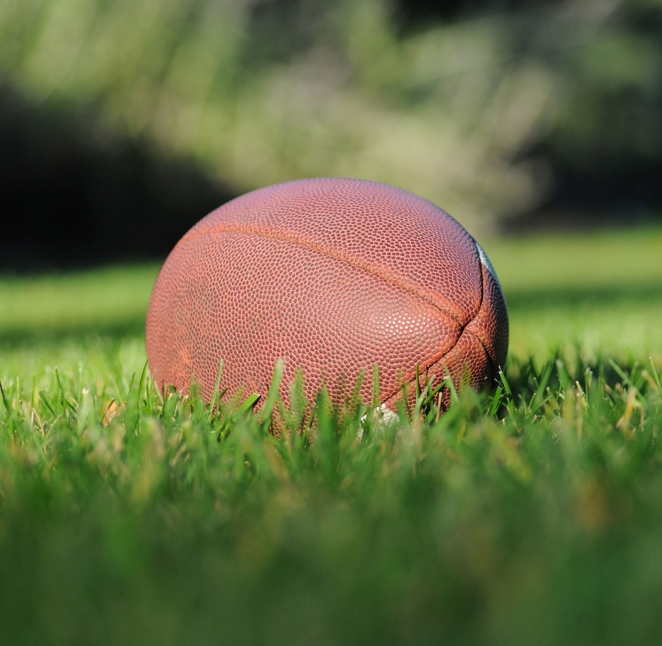 ben-hershey-B4XZxcZcTsI-unsplash (1) Opens in new window