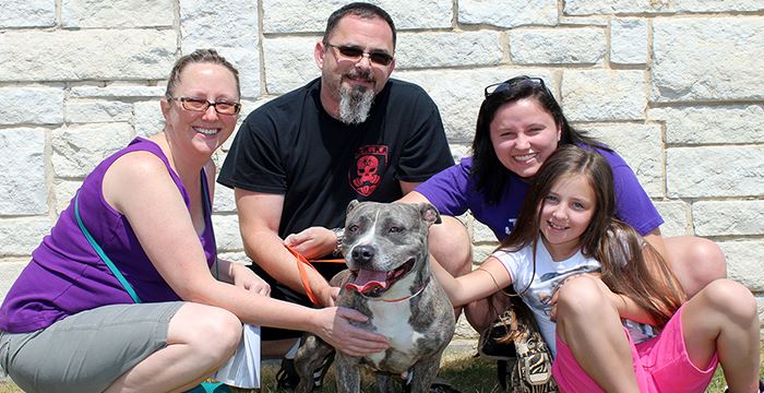 2016 Clear the Shelters TX-Mesquite-SlideShow